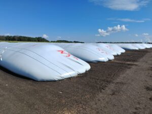 IMG_20240806_103253